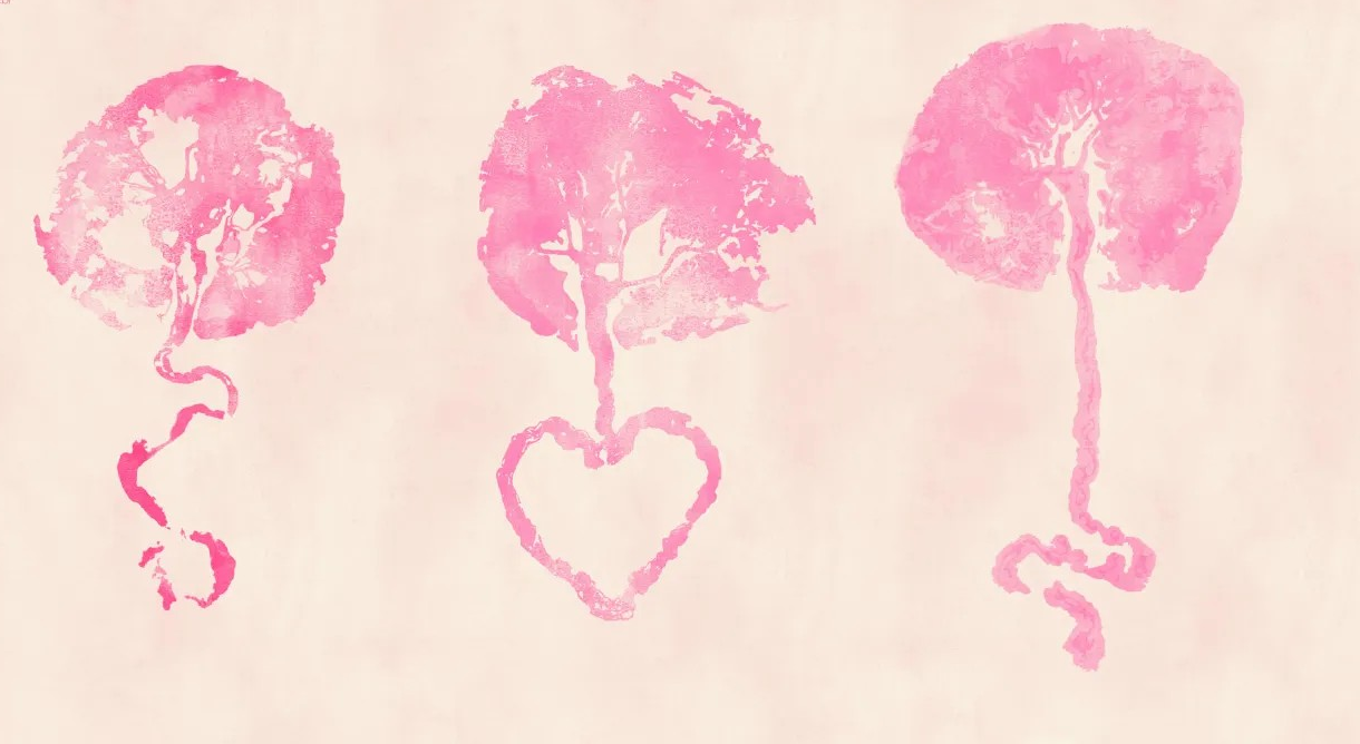 A Magia do Carimbo de Placenta: O que é a arte placentária?